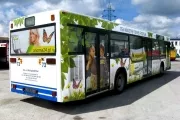 autobus7
