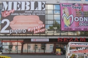 baner_motyl