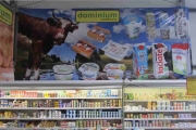 dominium łaciate