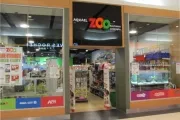zoo galeria sloneczna