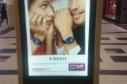 citylght fossil