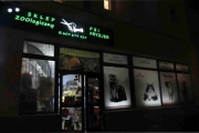 psi fryzjer pluto