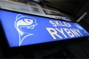 ryby