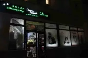 psi fryzjer pluto